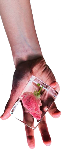Hand image